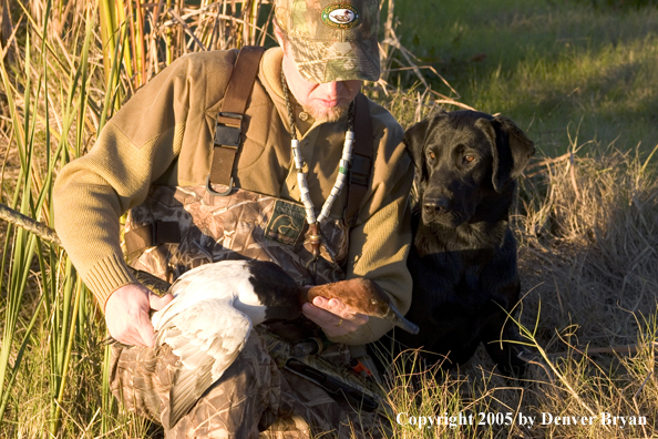 Duck hunter and Labrador Retriever at edge of marsh with bagged canvasback drake.