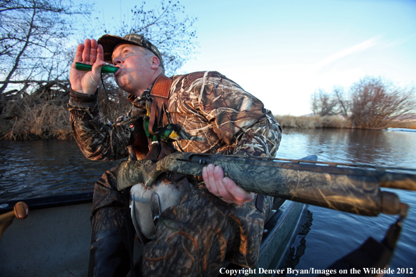 Duck hunter calling mallards. 