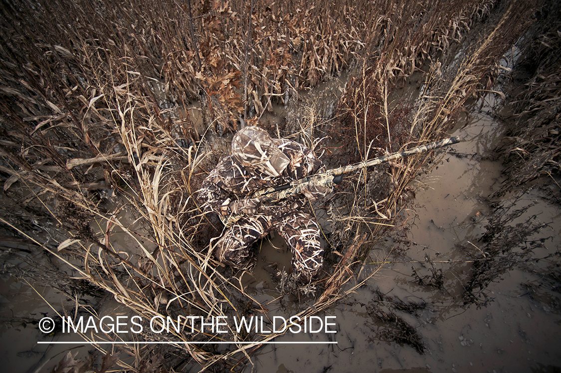 Waterfowl hunter camouflaged in wetlands.