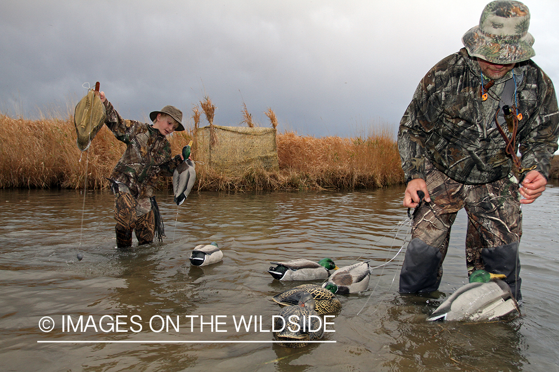 Father and son waterfowl hunters collecting duck decoys.