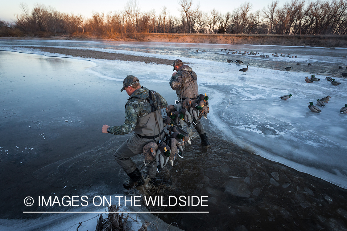 Waterfowl hunting