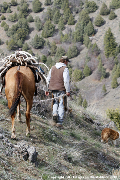 Big Game Hunter searching for drop sheds on horseback