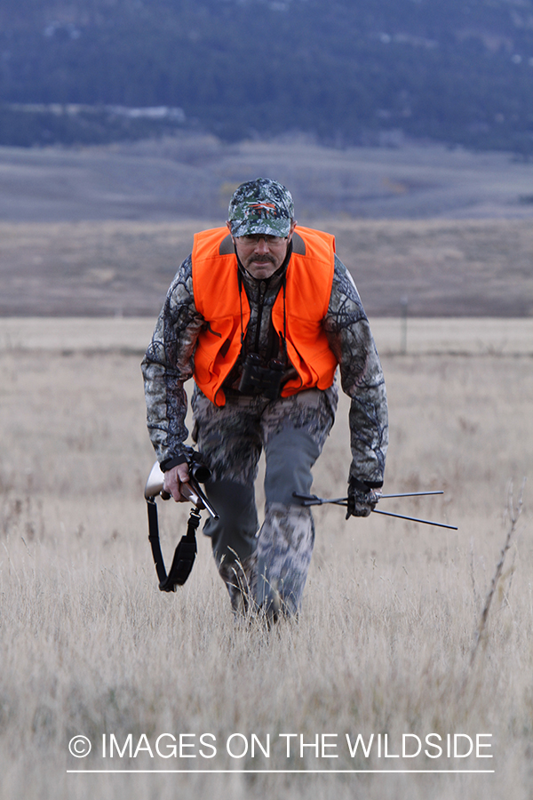 Big game hunter stalking game in field.