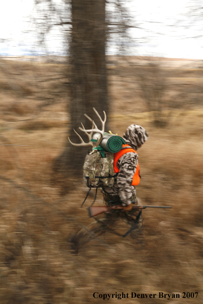 Mule deer hunter in field.