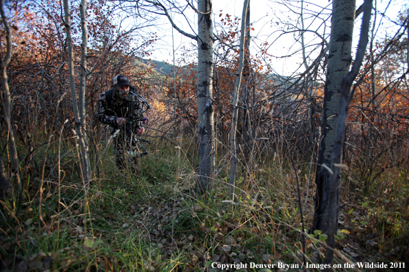 Bow hunter stalking prey. 