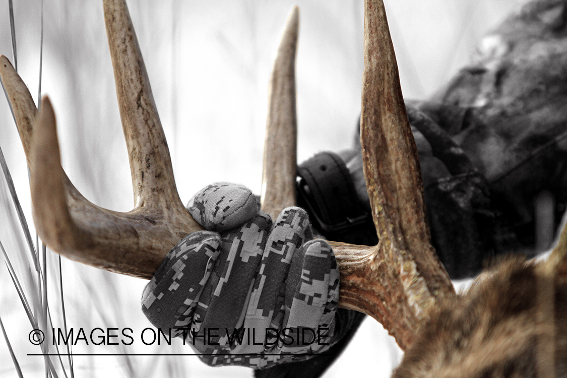 Bowhunter holding bagged white-tailed buck antlers.