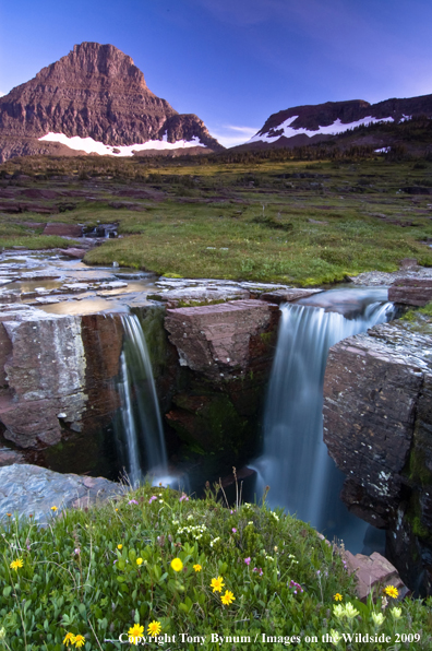 Waterfalls in Glacier National Park near Logan Pass