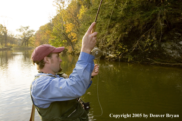 Flyfisherman playing fish.