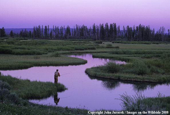 Flyfishing at Maple Creek