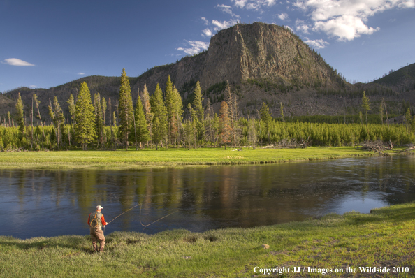 Madison River, Yellowstone National Park.