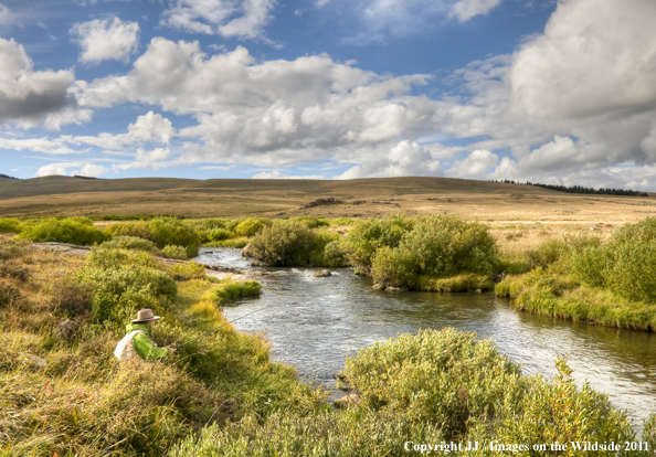 Flyfishing on the North Tongue River, Wyoming. 