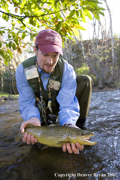 Close-up of nice brown trout.