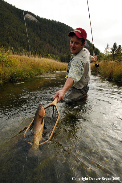 Flyfisherman Landing Cutthroat Trout