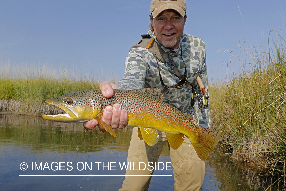 Flyfisherman releasing brown trout.