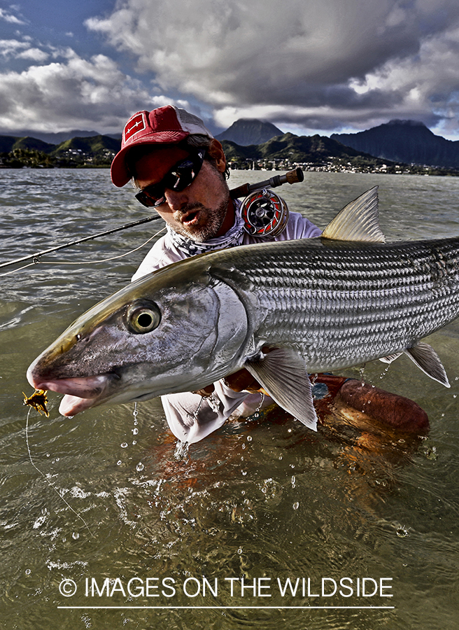 Saltwater flyfisherman with 13 lb bonefish, in Hawaii. (HDR)