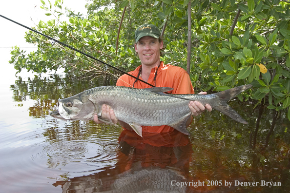 Flyfisherman w/tarpon 