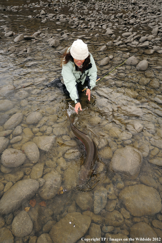 Fisherwoman releasing Steelhead. 