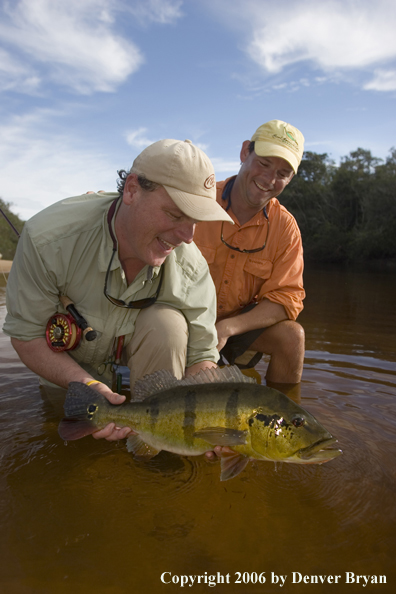 Fisherman holding Peacock Bass