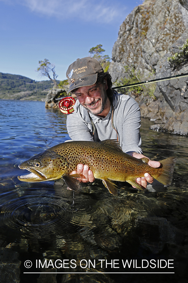 Flyfisherman releasing brown trout.