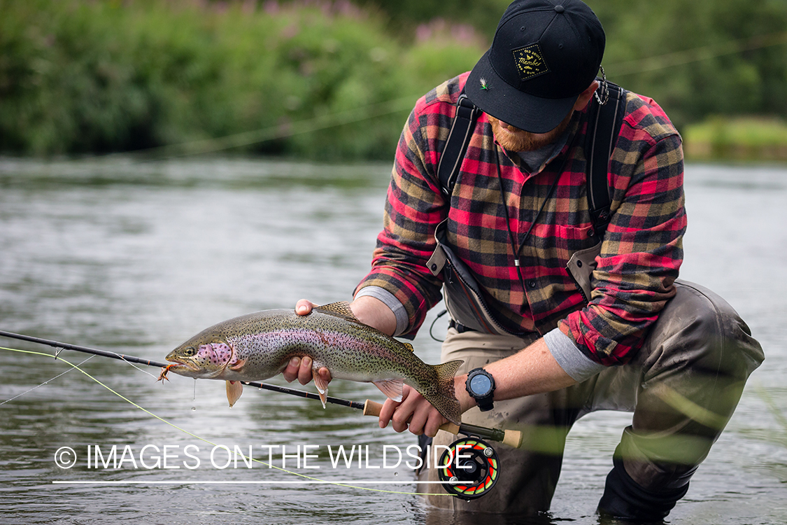 Flyfisherman with rainbow trout in Sedanka river in Kamchatka Peninsula, Russia.