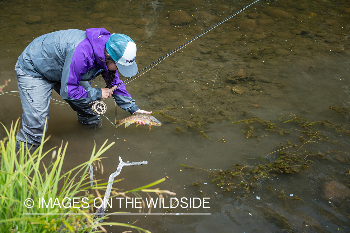 Woman fly fishing guide(Marcela Appelhanz) on stream.