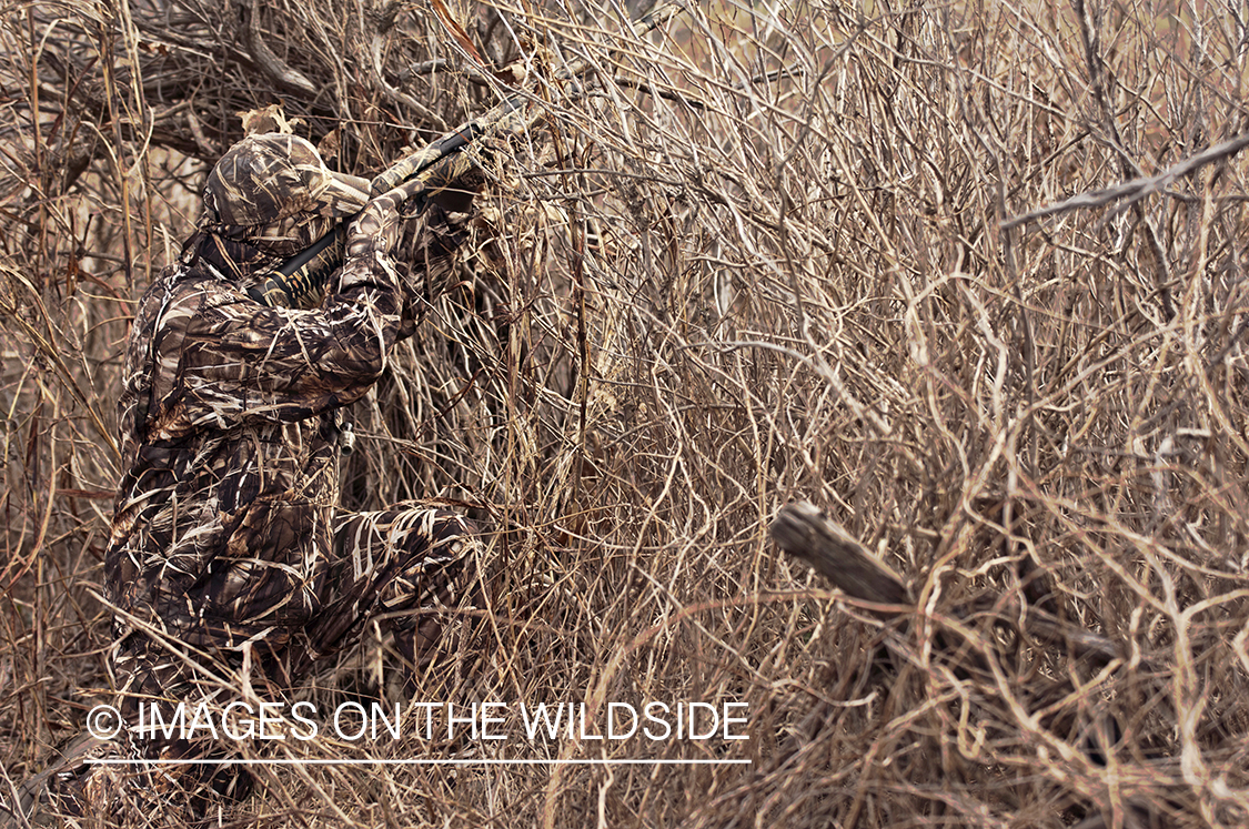 Waterfowl hunter camouflaged in wetlands.