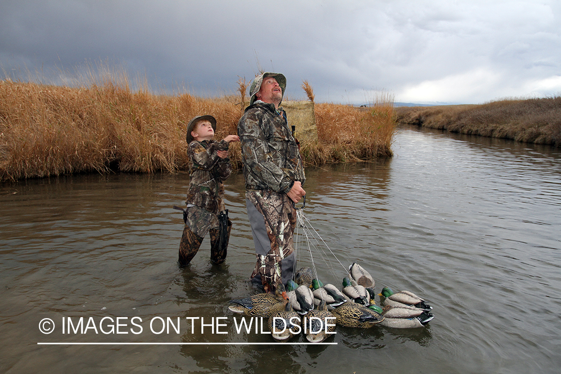 Father and son waterfowl hunters collecting duck decoys.