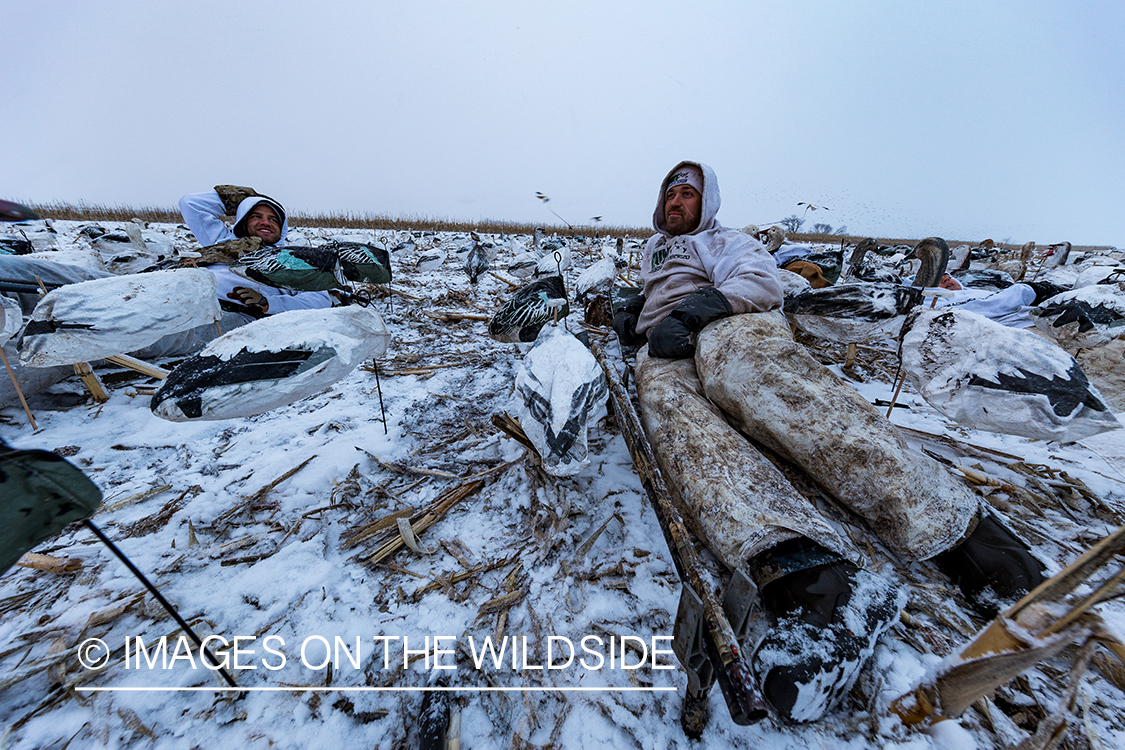 Hunters in field with decoys. 