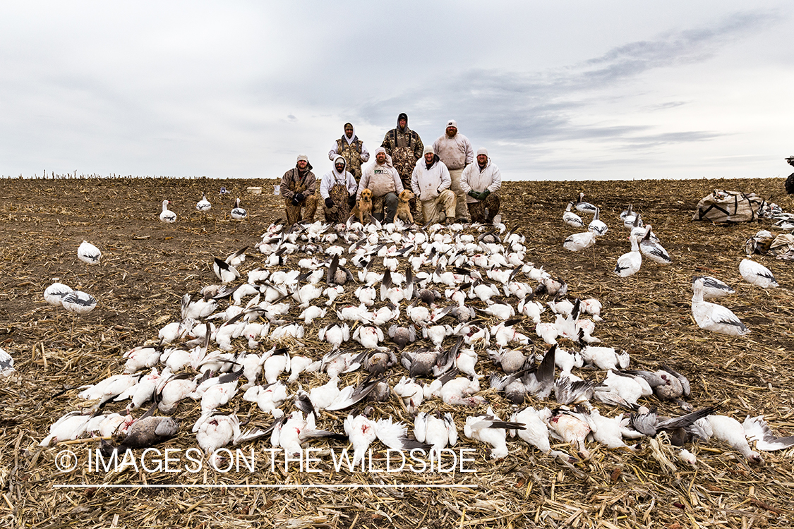 Hunters with bagged geese after successful day shooting.