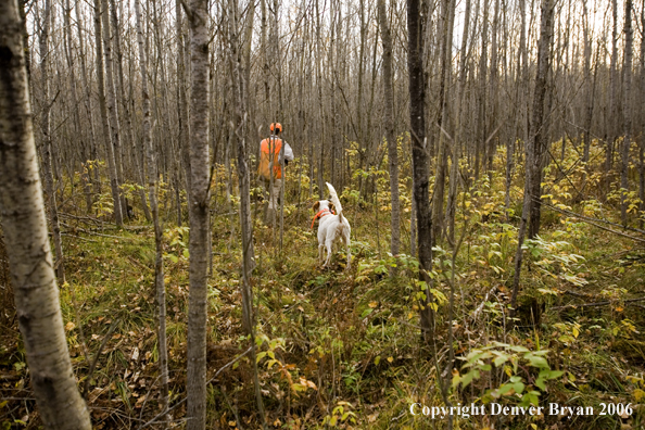 Upland bird hunter in field with dog.