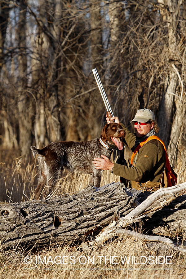 Pheasant hunter in field.