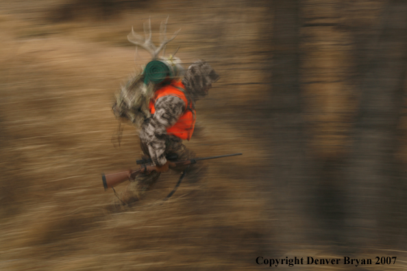 Mule deer hunter in field.