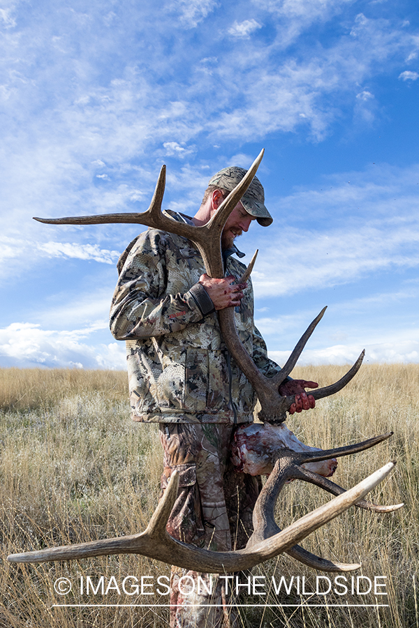 Archery hunter with bull elk horns.