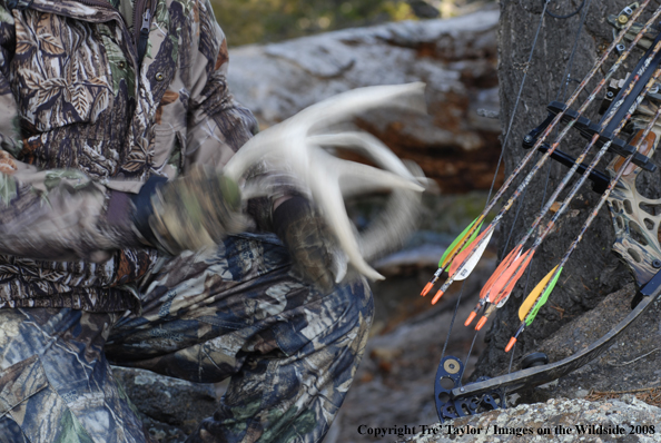 Bowhunter rattling horns