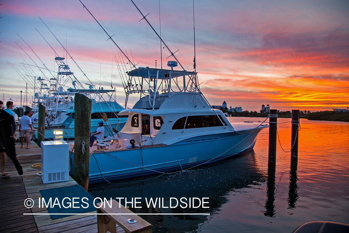 Deep sea fishing boat at dock.