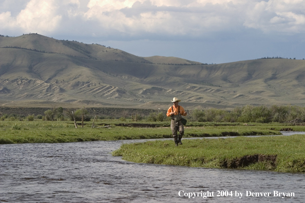 Flyfisherman on river (MR).