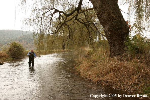 Flyfisherman on Pennsylvania spring creek.