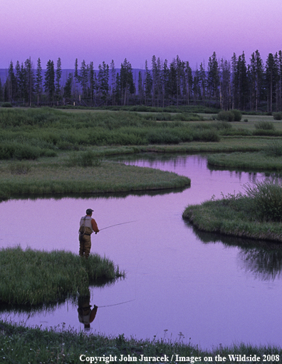 Flyfishing at Maple Creek