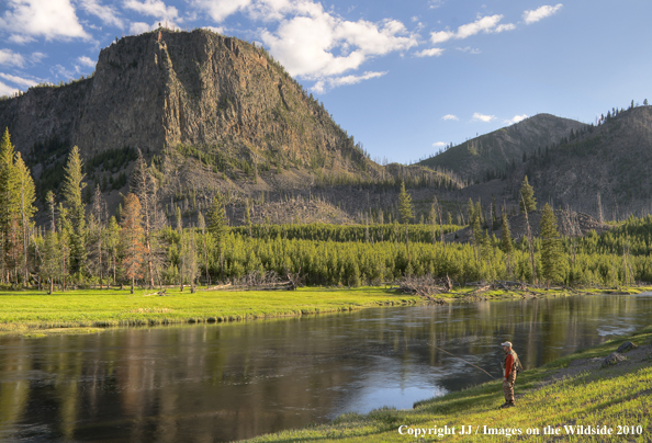 Madison River, Yellowstone National Park.