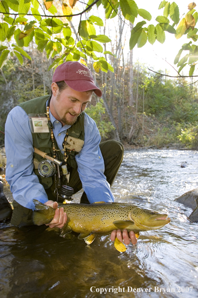 Close-up of nice brown trout.