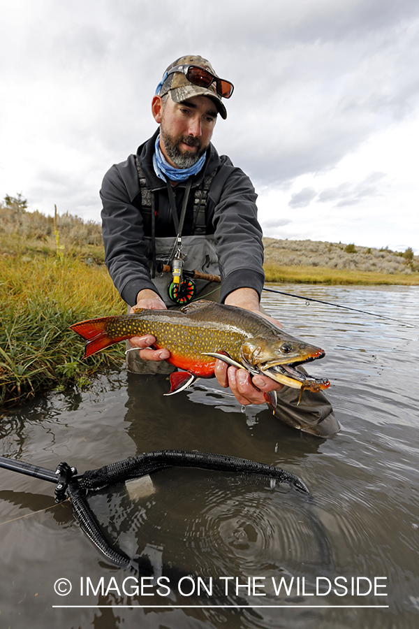 Flyfisherman with a brook trout.