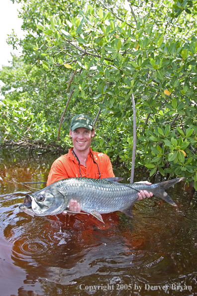 Flyfisherman w/tarpon 