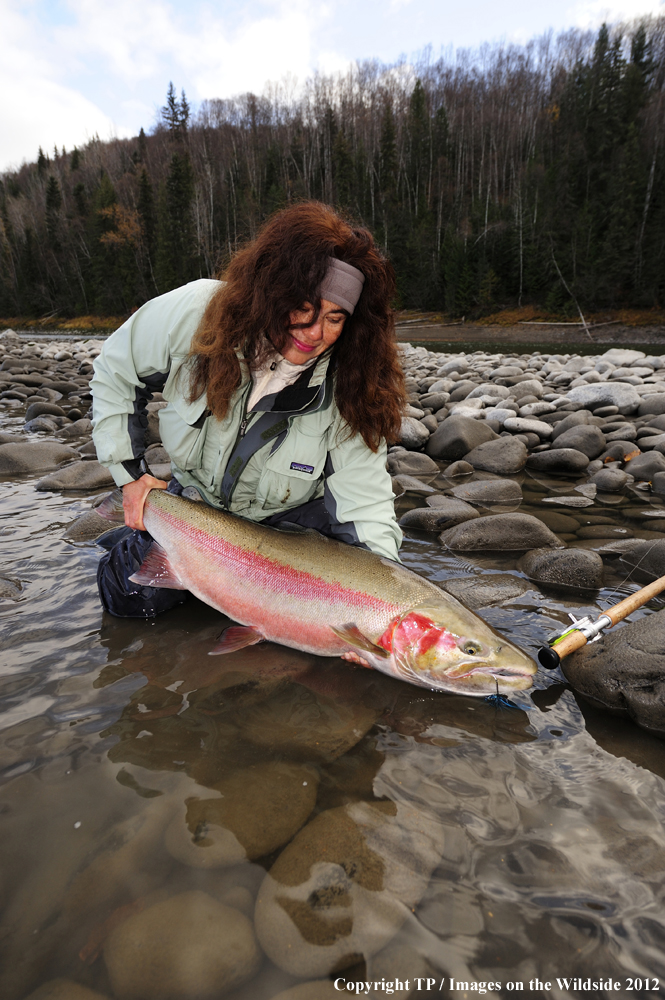 Fisherwoman with Steelhead Trout. 