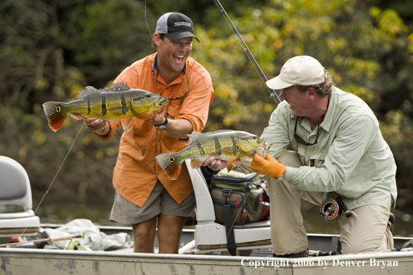 Fishermen holding Peacock Bass