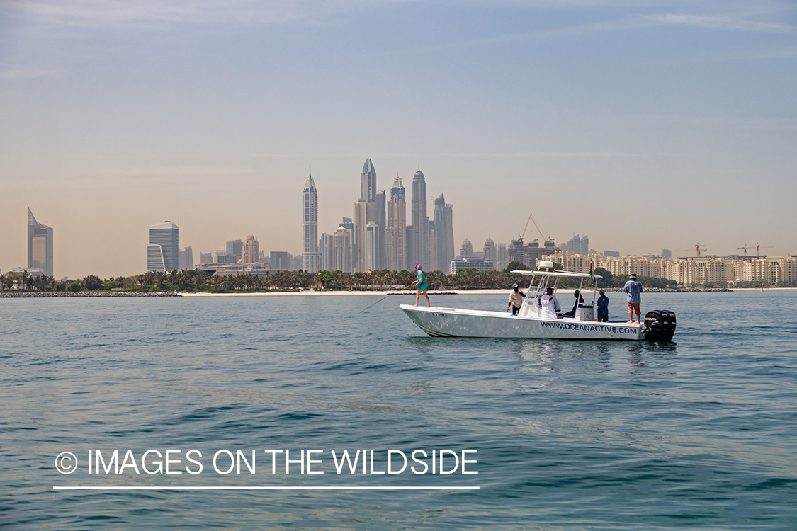 Flyfishing for queenfish off the coast of Dubai, UAE.