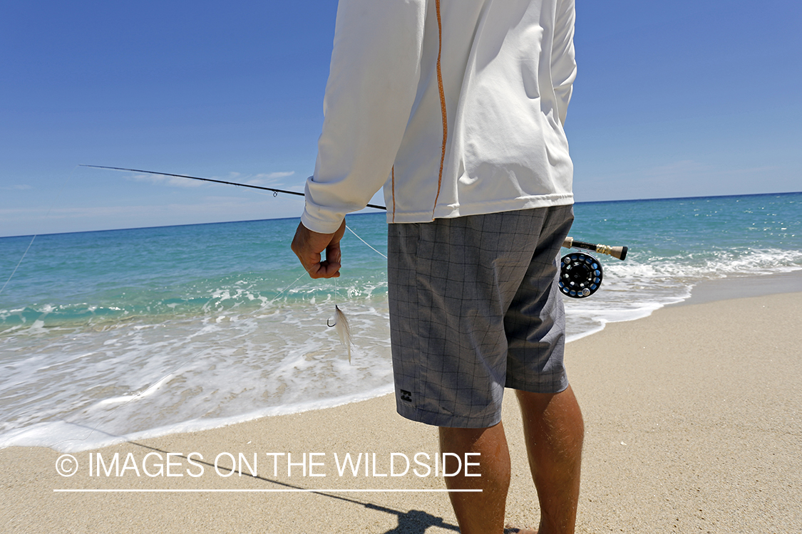 Chasing roosterfish on Baja Peninsula, Mexico.