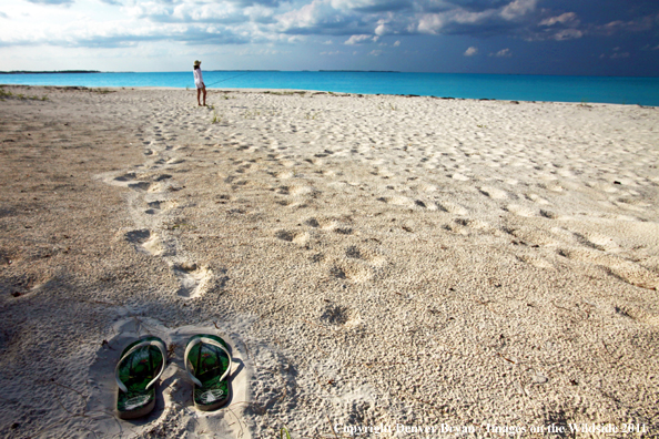 Woman walking beach to go flyfishing.                                