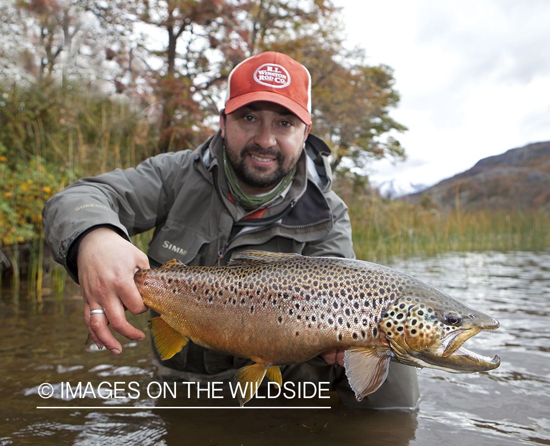 Fisherman holding Brown Trout.