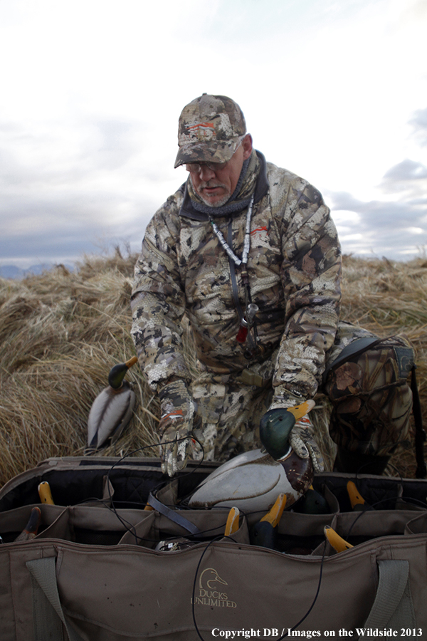 Waterfowl hunter picking up decoys.