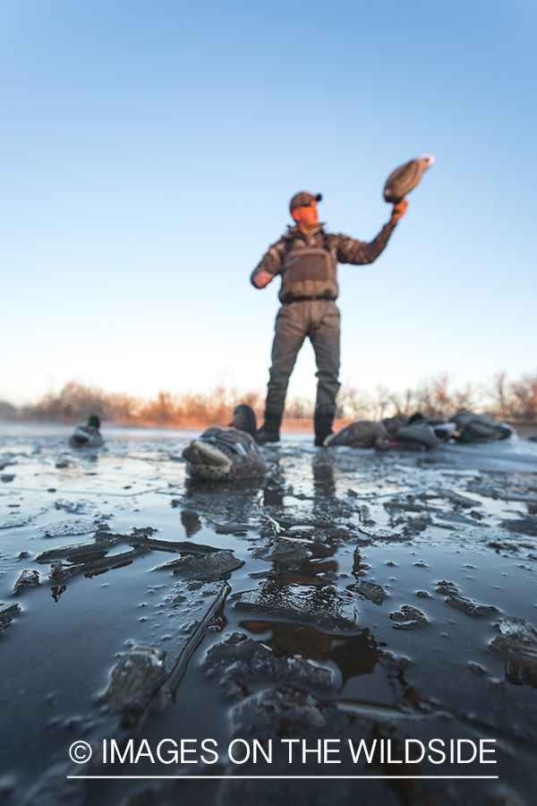 Waterfowl hunting